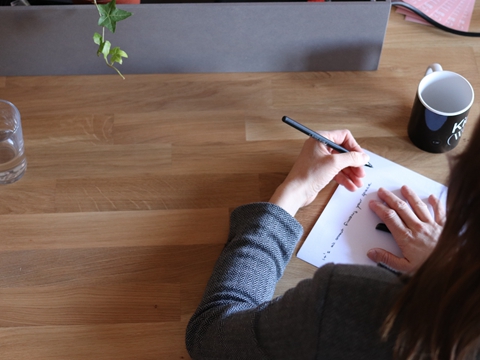 探究VIE架構(gòu)的利弊:跨國(guó)公司的關(guān)鍵選擇