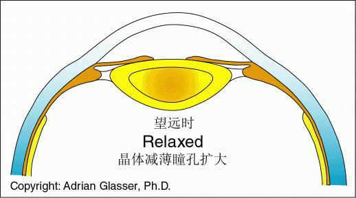 竞博JBO健康是1那你知道啥是最佳运动吗？(图4)