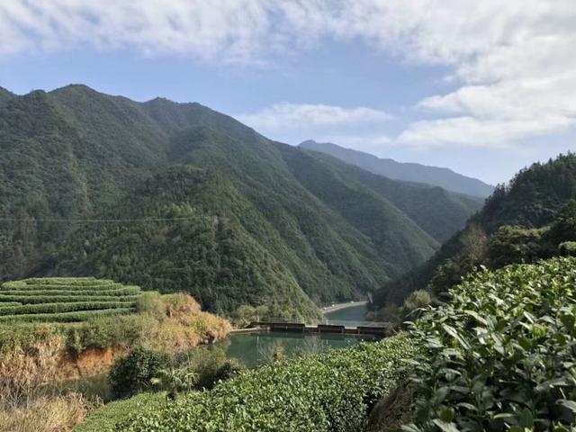 越来越多的浙江年轻人觉得“住村里挺好”为什么农村如此“香”？(图13)