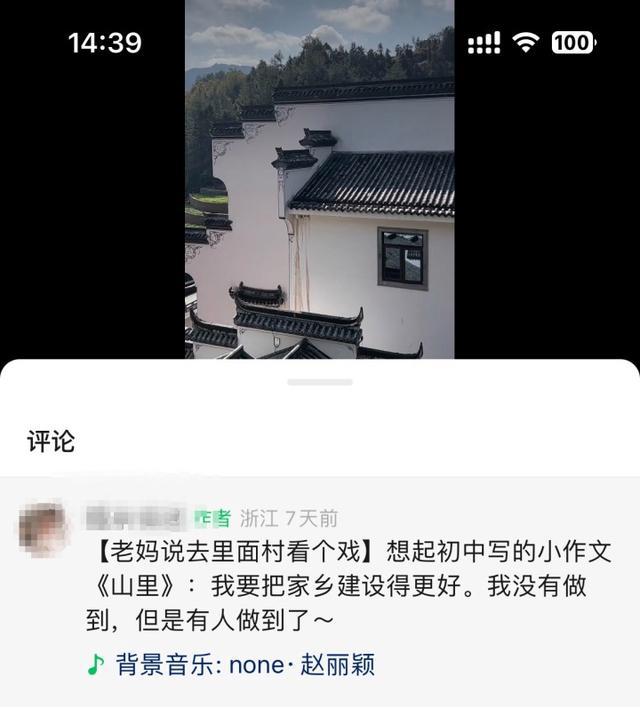 越来越多的浙江年轻人觉得“住村里挺好”为什么农村如此“香”？(图14)