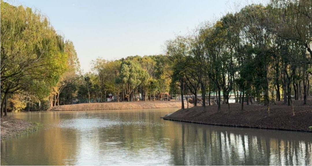 今年又将有5座环上公园完成提升改造浦东环城生态公园带再度“焕新”(图2)