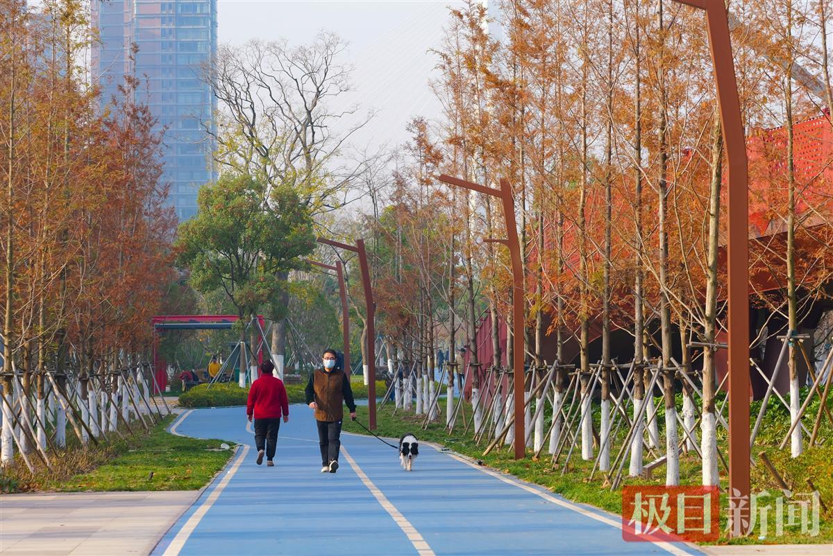 武汉多元化完善慢行交通系统 让市民出行更舒心(图1)