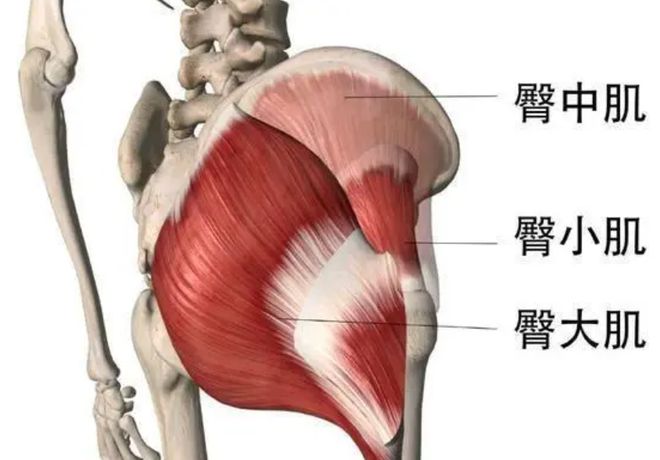 竞博JBO官网最经典的20大臀部健身动作求你不要再瞎练了！(图2)