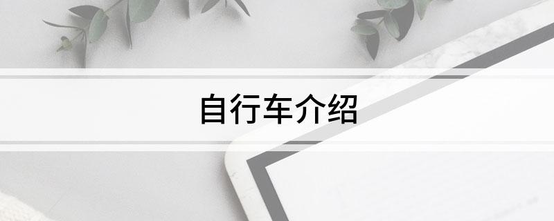 自行车介绍(图1)