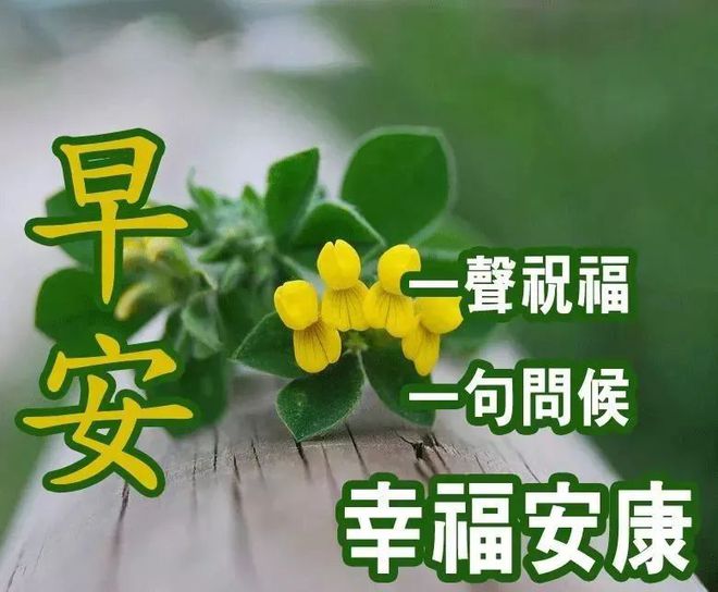 竞博JBO官网激励人心的早安问候语 励志早安经典心语句子(图5)